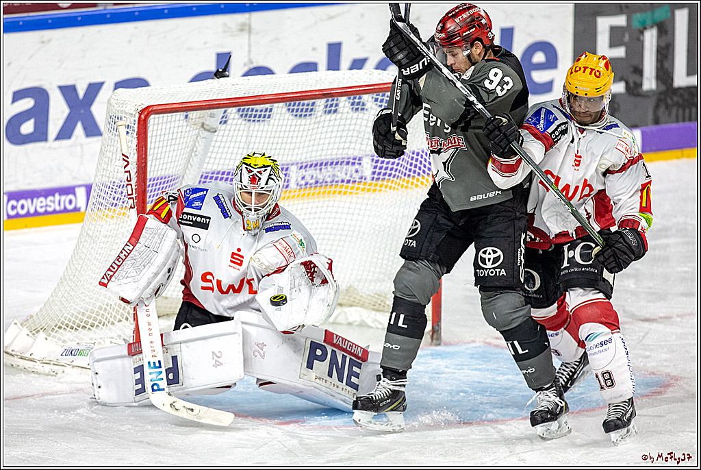 DEL; Koelner Haie - Fischtowns Pinguins Bremerhaven, 24.01.2019